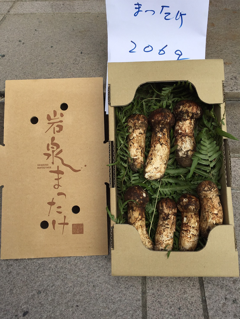 iwaizumi-matutake-2018-11