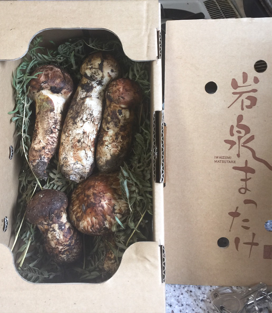 iwaizumi-matutake-2018-14